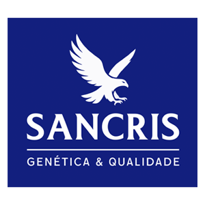 Sancris Bicudos - Coleiros - Fibra - Ribeirão Preto/SP